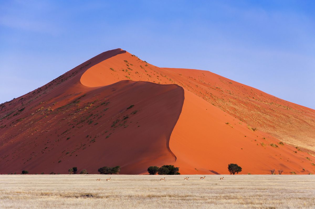<p>With amber sand dunes, endless golden grasslands, and emerald-blue lagoons, Namibia's vast natural beauty goes unmatched. The Namib desert, both the country's and world's oldest desert, spans over 1,200 miles with striking dead-tree valleys at <a href="https://www.sossusvlei.org/">Sossusvlei</a> and sand dunes leading to the Sandwich Harbour. An abundance of wildlife thrives within the savannas and Caprivi Strip wetlands of Nambia. On the Khomas Hochland plateau, the Zannier Reserve by N/a’an ku sê serves as a natural habitat for hundreds of injured animals and welcomes for guests to learn about conservation while staying at the reserve's lodge, <a href="https://www.zannierhotels.com/omaanda/">Omaanda</a>.</p>