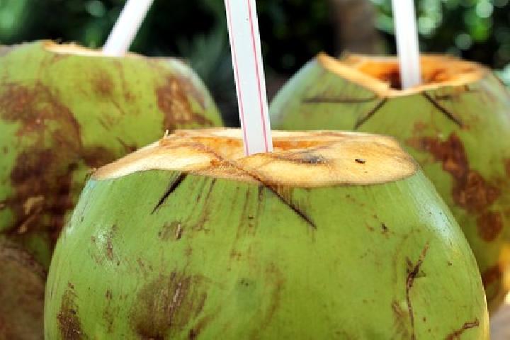 bahaya minum air kelapa muda secara berlebihan, kenaikan gula darah hingga kelebihan berat badan