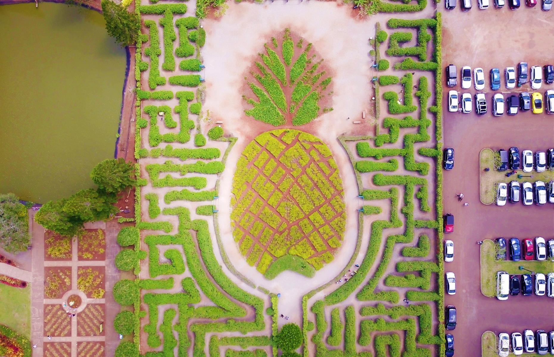 These Amazing Mazes Are A Joy To Get Lost In