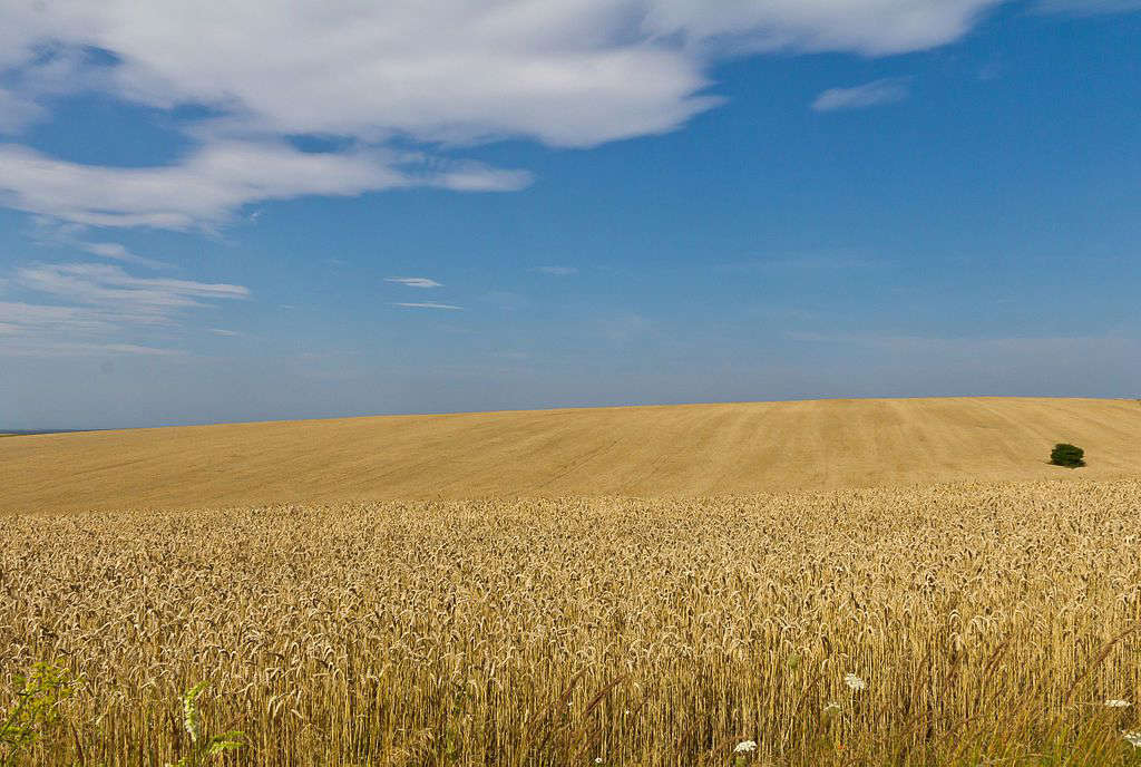 Landhervorming moet van Oekraïne het vruchtbare land maken dat de wereld voedt