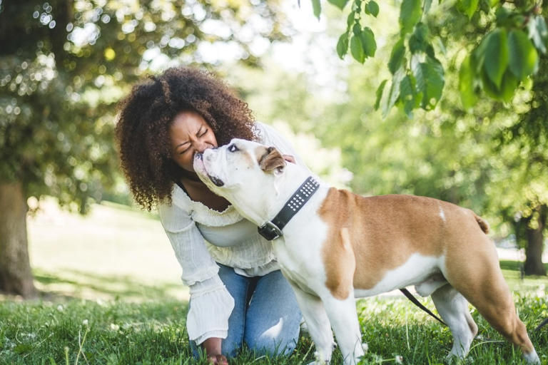 17 Calm Dog Breeds With Easygoing Personalities