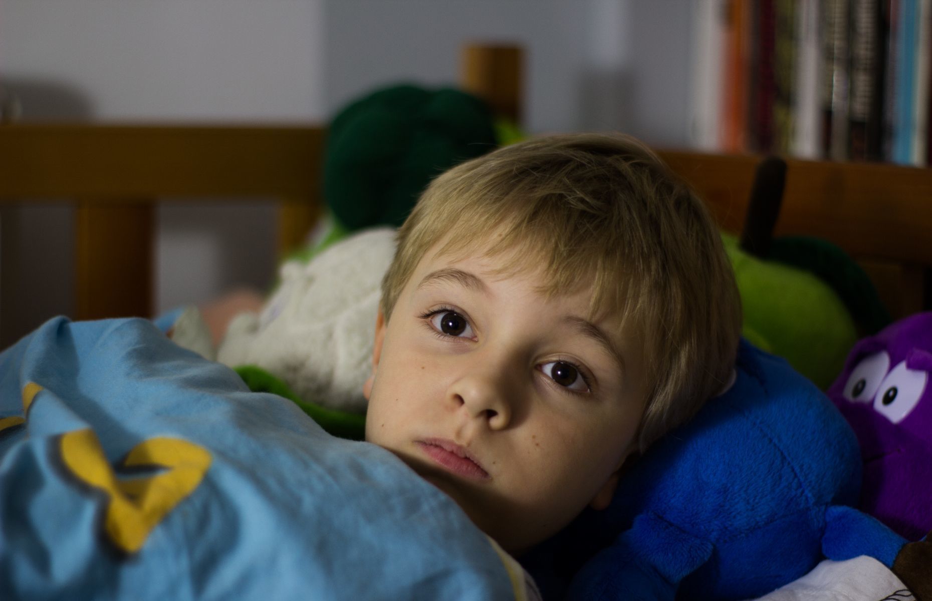 Do Gifted Toddlers Need Less Sleep