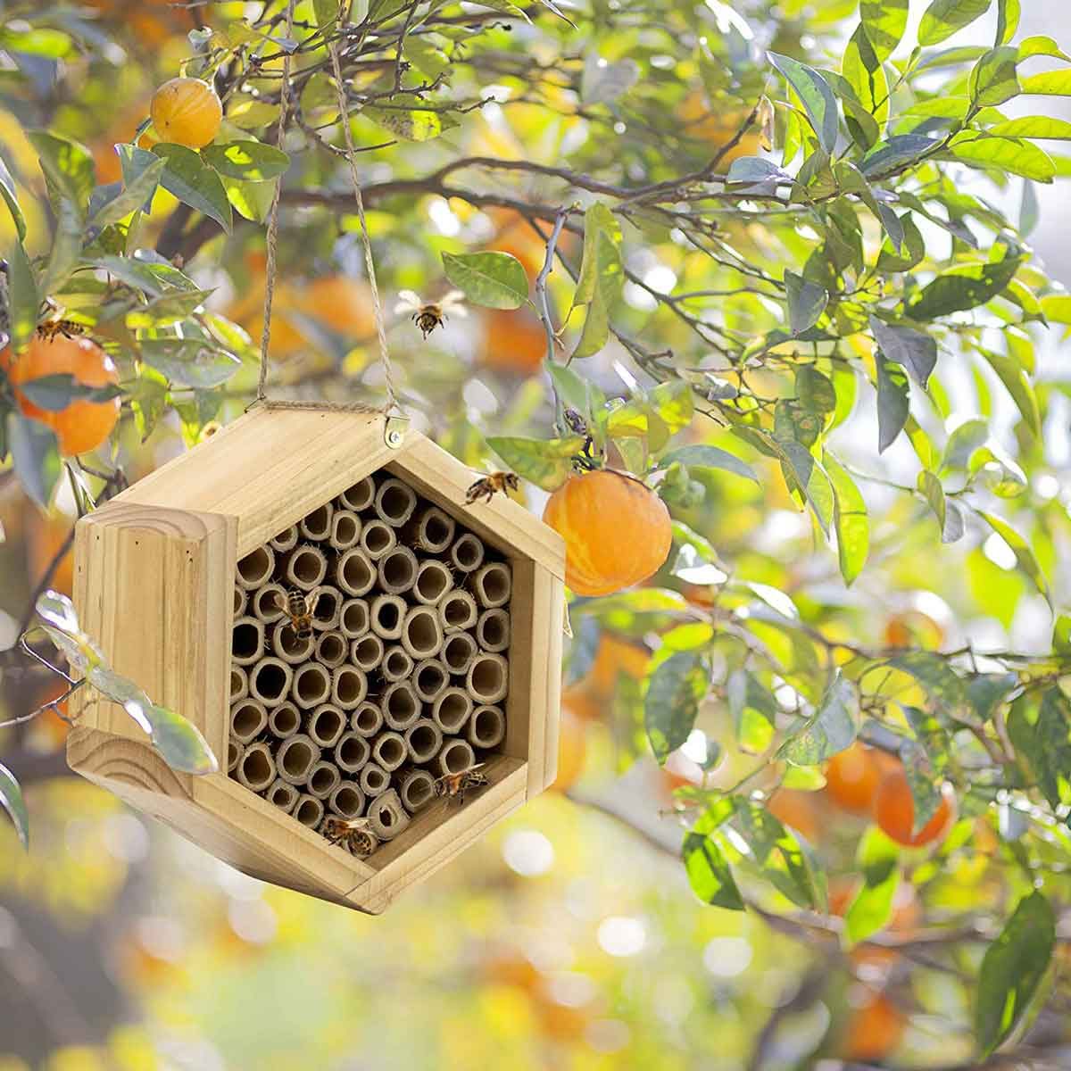 <p>Small enough to hang anywhere, the <a href="https://www.amazon.com/Mason-Bee-House-Pollinators-Productivity/dp/B07T73Q18D" rel="noopener noreferrer">Kibaga mason bee house</a> is made of bamboo. It provides a safe and sustainable environment for non-swarming (solitary) mason bees (AKA orchard bees). To <a href="https://www.familyhandyman.com/list/flowers-for-bees/">encourage these pollinators</a>, the octagon-shaped exterior surrounds 60 bamboo nesting tubes where bees can feel safe. Hang the house from the included rope in a sunny, dry area.</p> <p class="listicle-page__cta-button-shop"><a class="shop-btn" href="https://www.amazon.com/Mason-Bee-House-Pollinators-Productivity/dp/B07T73Q18D">Shop Now</a></p>