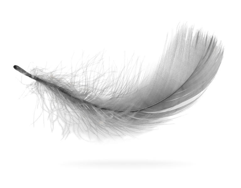 La signification des plumes d couvrez le message des anges