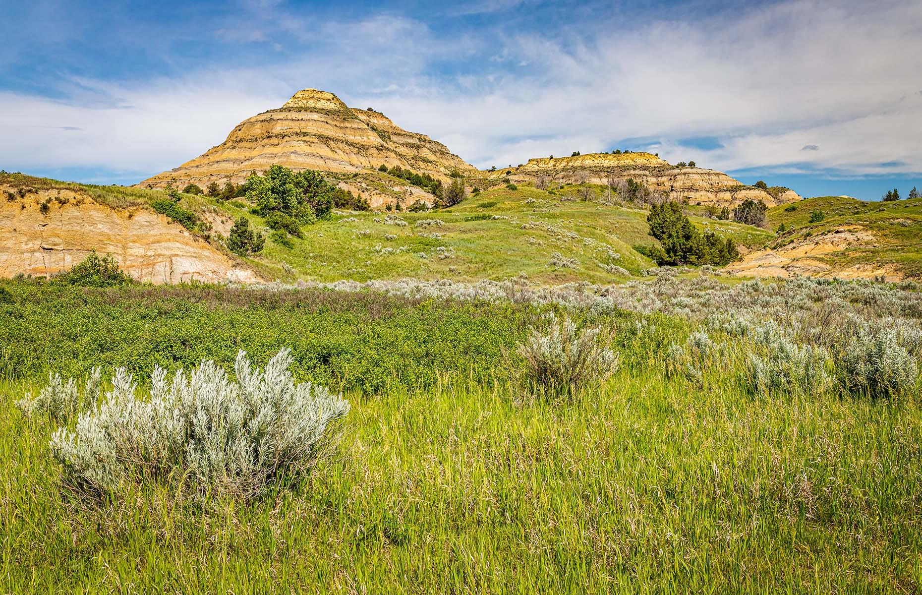 The Best Hiking Trail Of Every American State