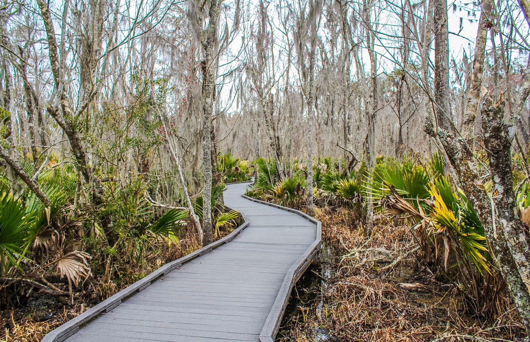 The Best Hiking Trail Of Every American State