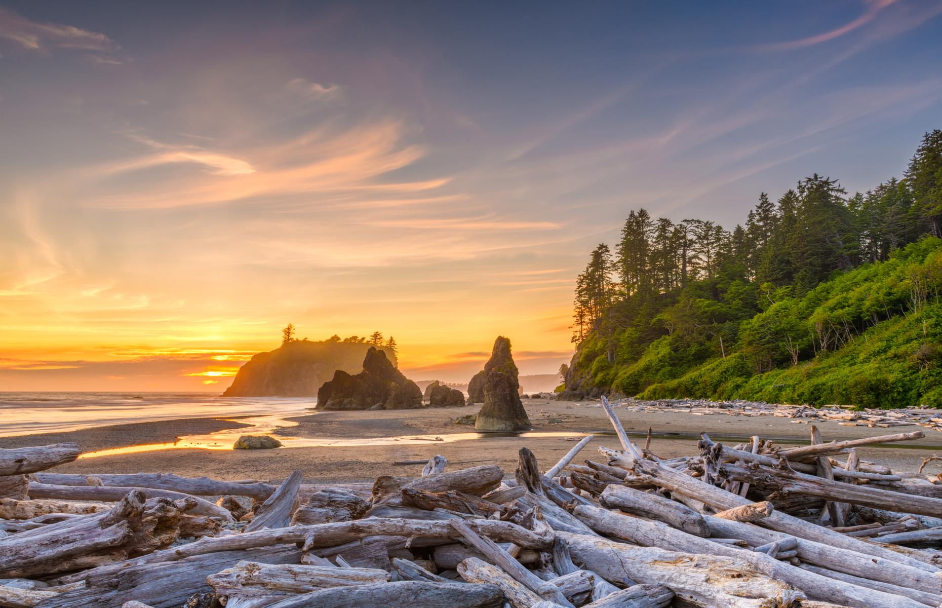 30 Top Coastal Walks In The US You Have To Try