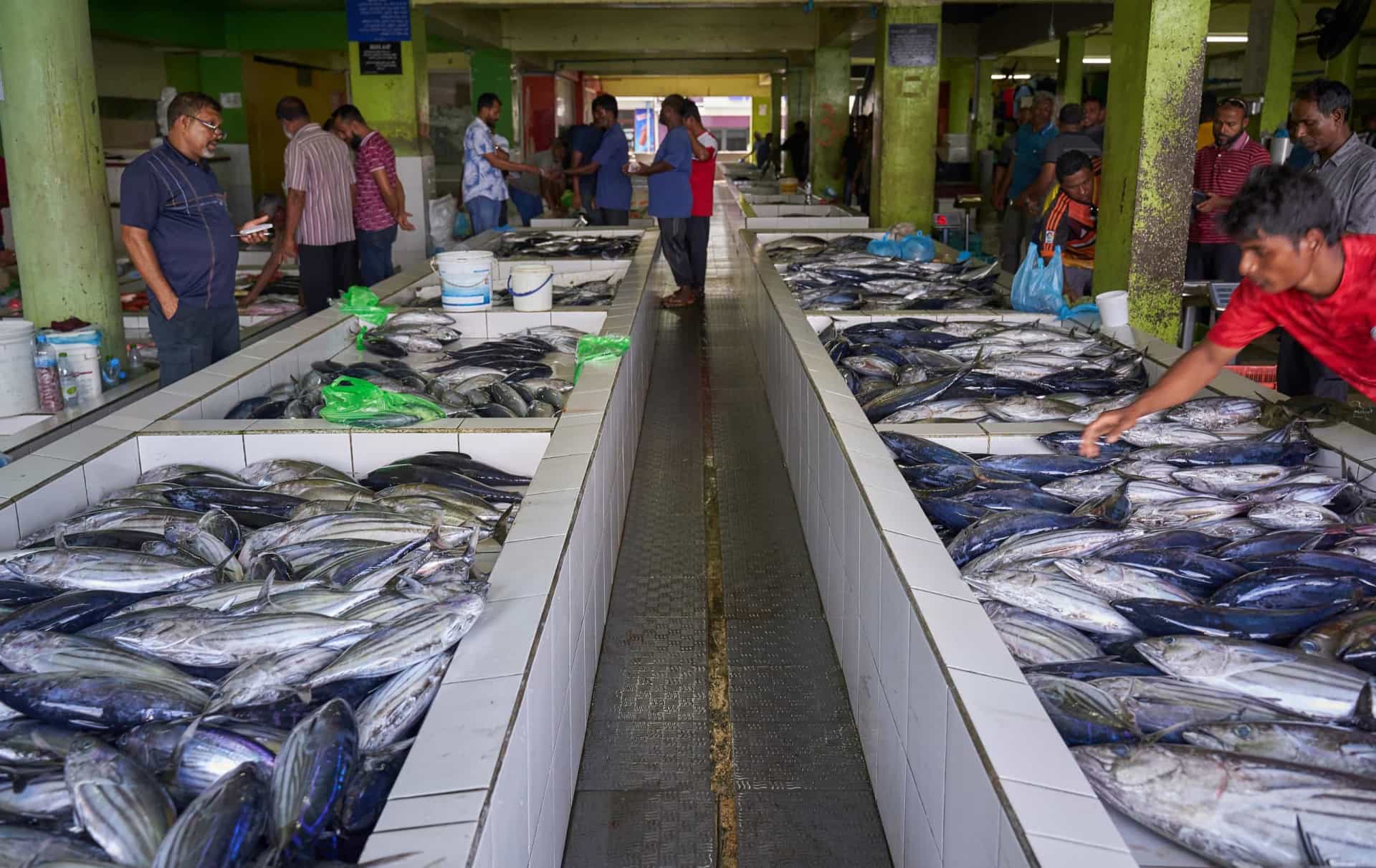 <p>The fishing industry is thriving in the Maldives, and there is no better place to see the spread than at the market. Here you'll find locals selling freshly-caught tuna, wahoo, and barracuda.</p>
