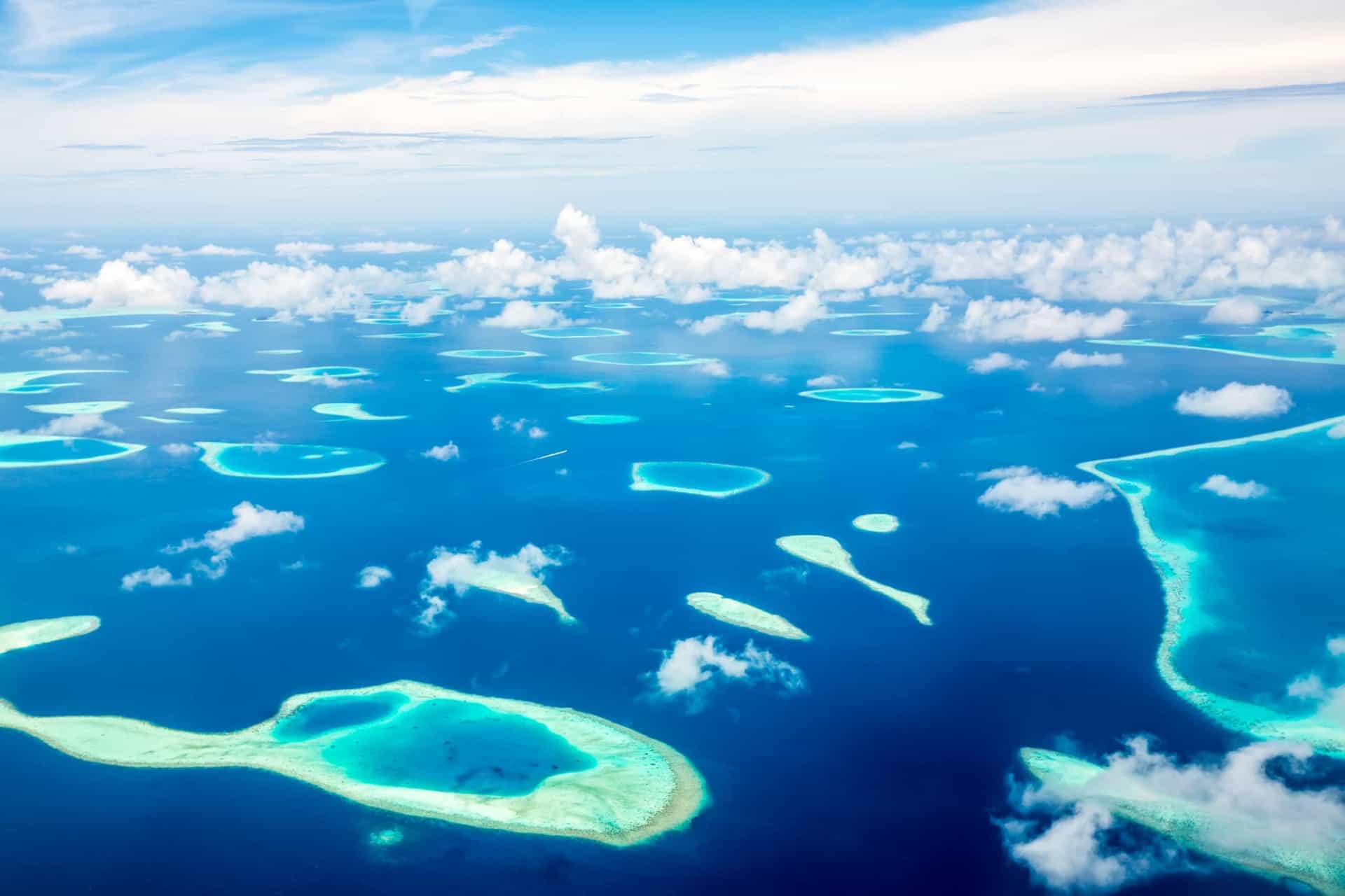 <p>There are few places as beautiful as the Maldives. This small archipelagic state found in South Asia teems with exotic sea life, white sandy beaches, and fun activities.</p><p>The exclusive destination is the capital of luxury resorts. It provides guests with some of the best food, spa treatments, and rooms that money can buy. And then, of course, there are the natural wonders of the Maldives. From baby sea turtles to dinners on the beach, a trip to the Maldives will ensure relaxation, luxury, and incredible natural sights.</p><p>If you want to visit true paradise on Earth, take a look through this gallery. Click on!</p>