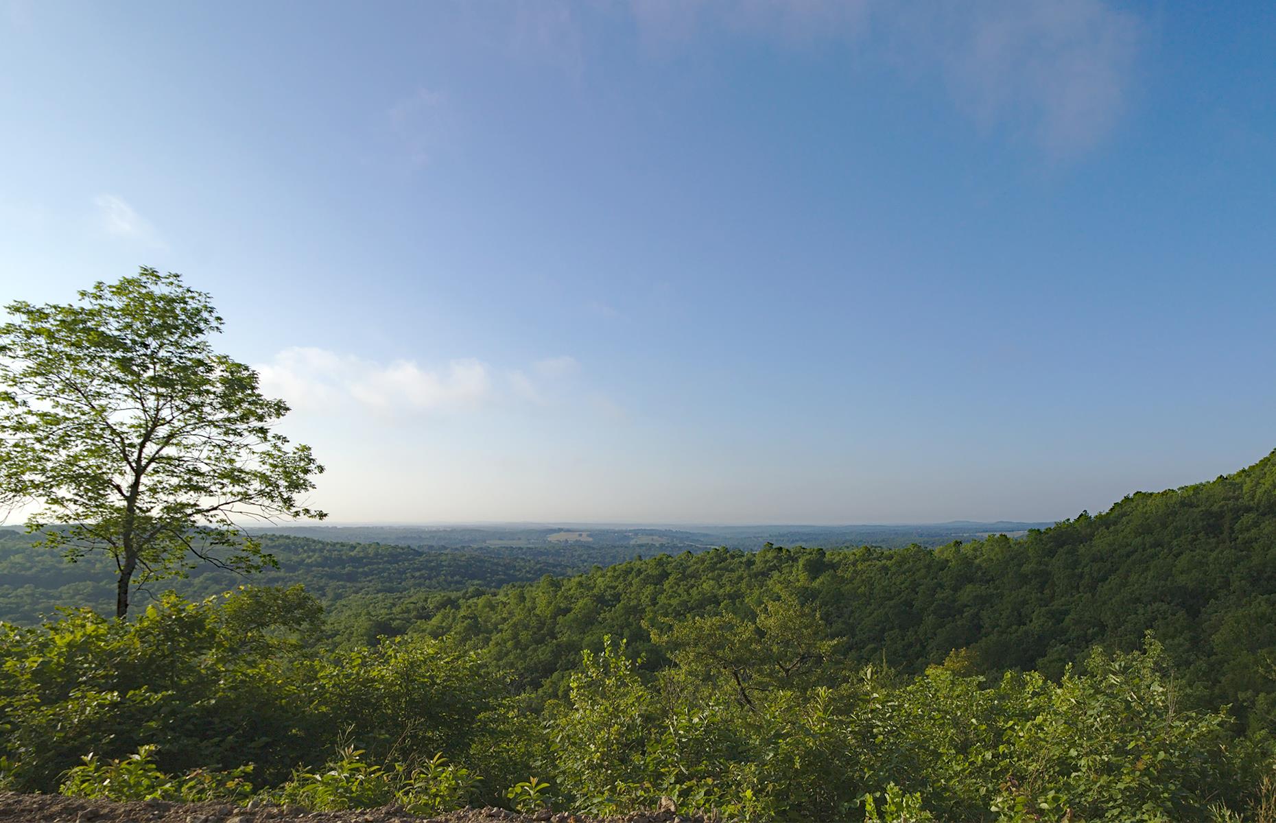 Buckle Up For Your State's Best Road Trip