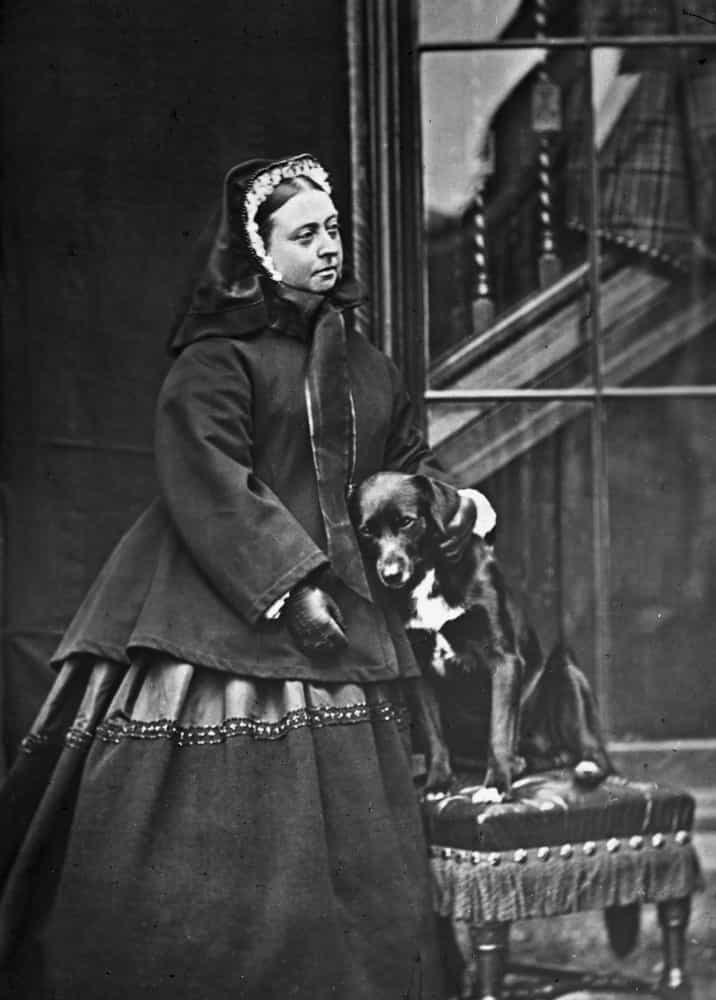 <p>One request that Queen Victoria made to her physician shortly before she died was to see her pet dog. Queen Victoria adored dogs all of her life, and by the time of her death her favorite pet was a Pomeranian named Turi. In the end, as was perhaps her final wish, Turi was the one with her when she died.</p>