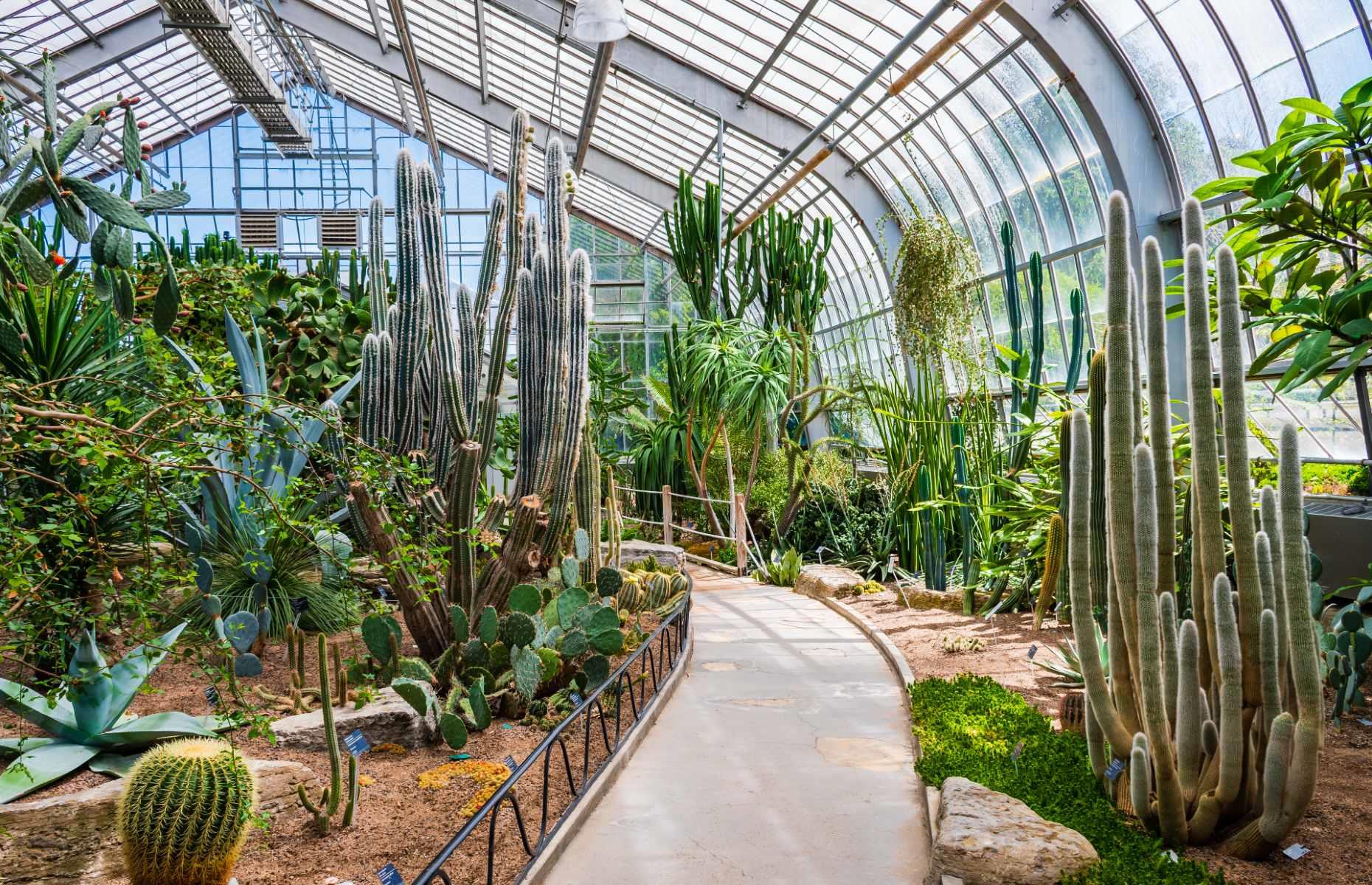 These are the world's most BEAUTIFUL greenhouses, in London and beyond