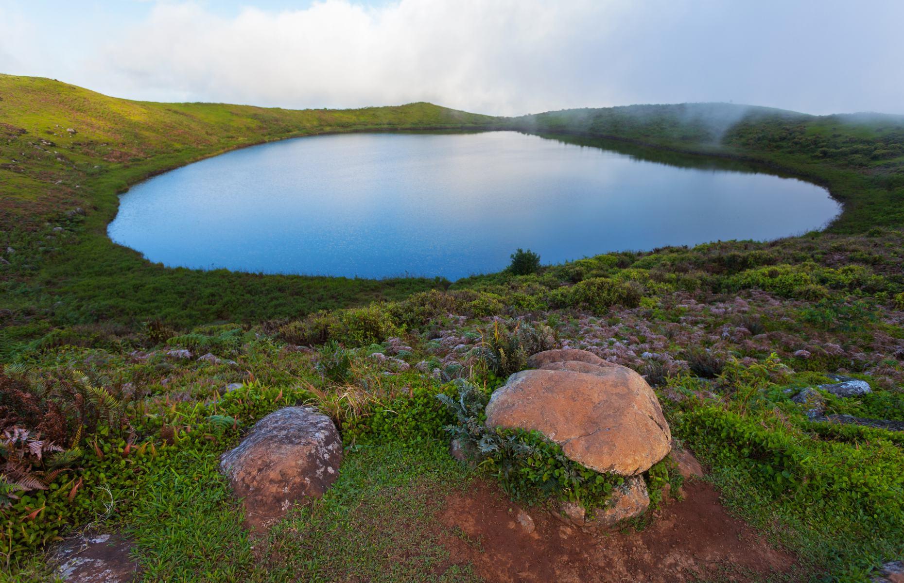 Sitting in the caldera of a collapsed volcano at some 2,297 feet (700m) above sea level, the El Junco lagoon is one of the island’s high points in more ways than one. It’s one of the only bodies of freshwater in the Galápagos and it’s surrounded by wildlife, notably birds: white-cheeked pintails, frigate birds and endangered Chatham mockingbirds can all be spotted here.