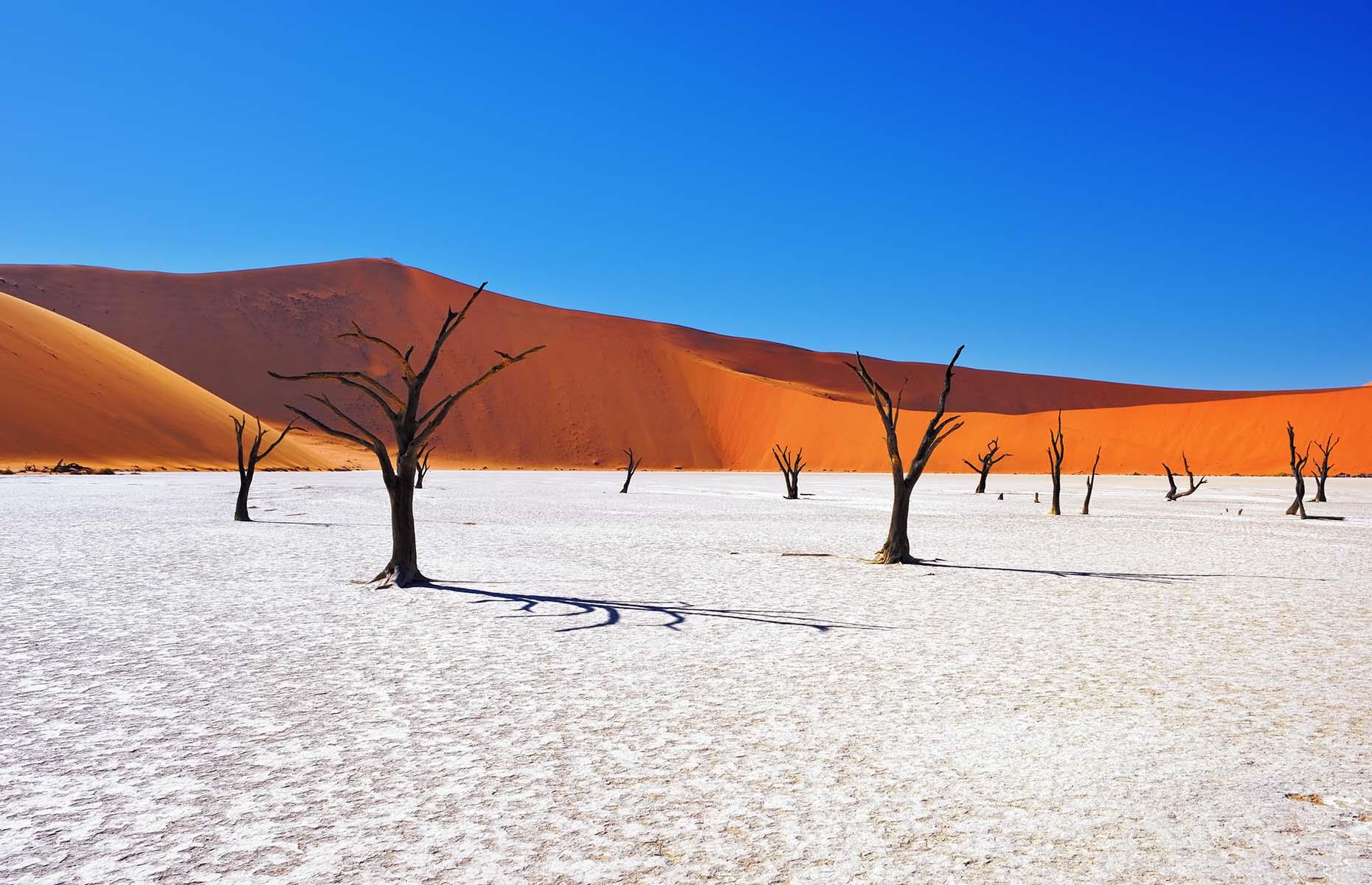 This white salt pan, tucked within the Namib-Naukluft Park, is an otherworldly sight. Dotted with petrified trees and surrounded by rust-red dunes, the dry mineral pan of Deadvlei doesn't look like anywhere else on Earth. The contrasting colours of this landscape are simply breathtaking.