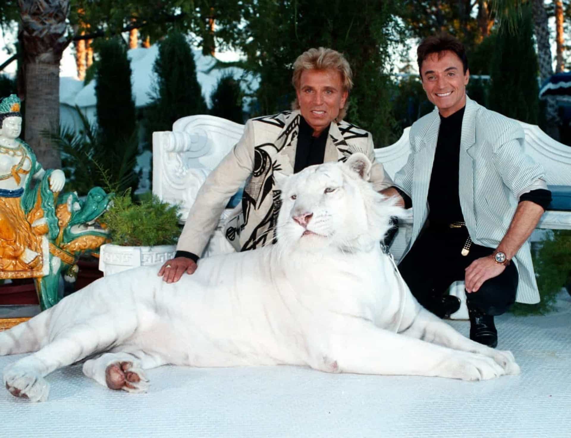 Famosos que foram atacados por animais (e como eles ficaram)!