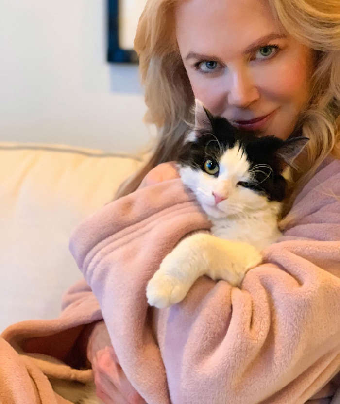 10 de 67 fotos en la galería: Nicole Kidman ama a los gatos y su más reciente mascota es Louis, una gata que adoptó de un refugio.