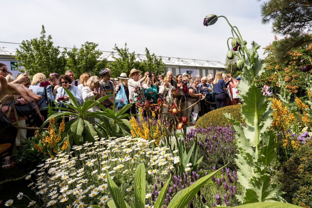 RHS Chelsea: 25 fascinating facts you definitely didn't know
