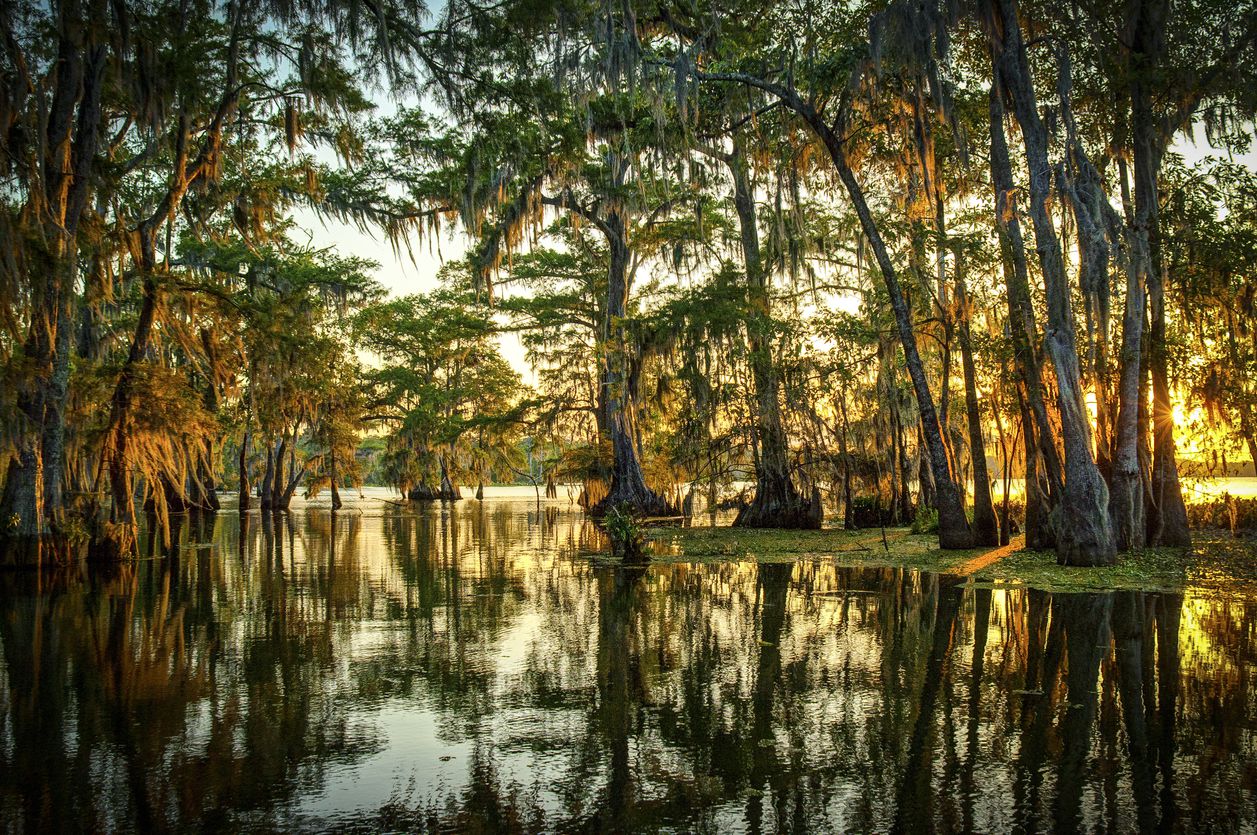 <p><b>Louisiana</b><br> This 180-mile jaunt through the unique wilderness of southwest Louisiana offers an up-close look at the culture and landscapes of the "Louisiana Outback." Winding through a variety of wildlife refuges populated by birds, alligators, and other creatures of the swamp, the All-American Road also offers detours to area lakes and Gulf of Mexico beaches.   </p>