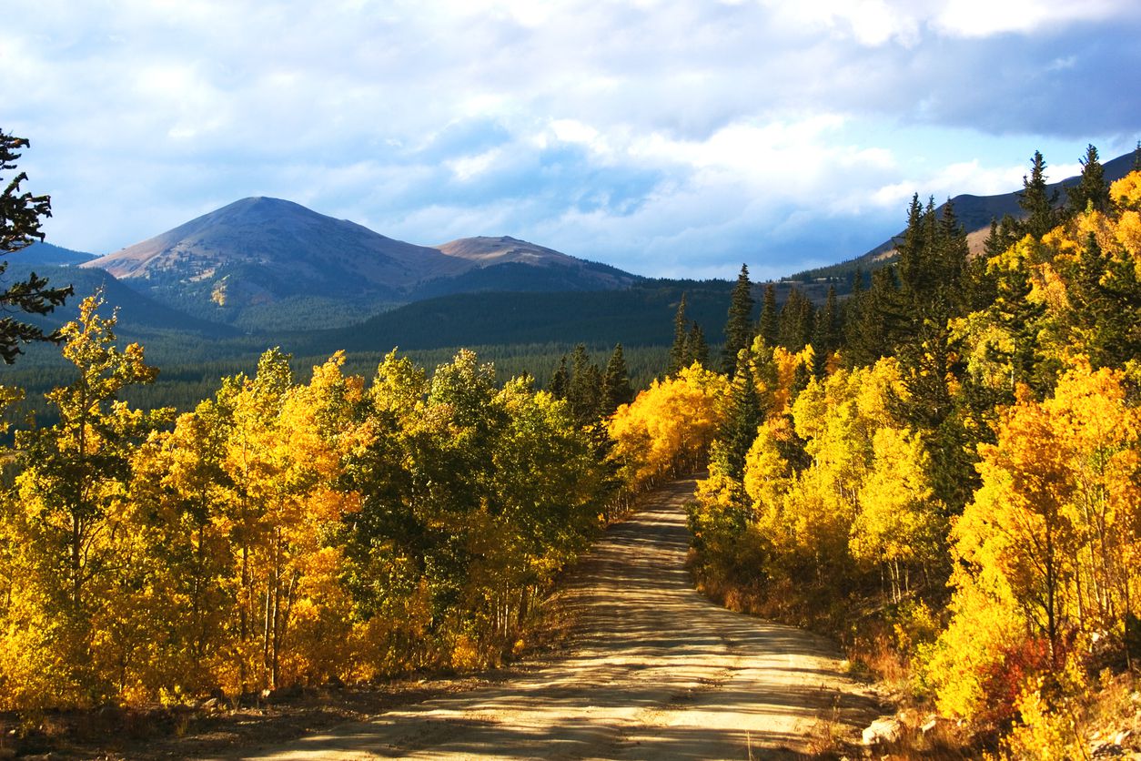 <p><b>Colorado</b><br> Winding 22 miles through an endless amalgamation of high-altitude mental therapy, this lesser-known Colorado road trip just outside Breckenridge is something of a local secret. The hour-long drive tops off at 11,481 feet and offers ample opportunities for hiking right along the side of the road, allowing travelers to marvel at the sun-soaked mountains and lakes below while listening to the soft sounds of aspen trees shimmering in the wind.</p><p><b>Related:</b>  <a href="https://blog.cheapism.com/best-scenic-drives-16955/">Breathtaking Roads That Are Only Open Part of the Year</a></p>