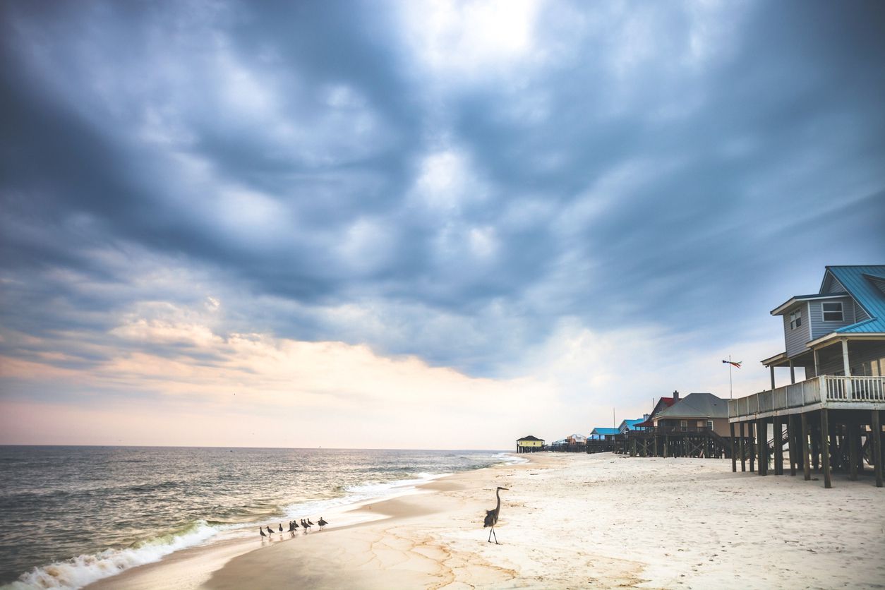 <p>Crank "Sweet Home Alabama" at top volume with the windows down as you cruise this 130-mile stretch of Alabama coastline through an array of landscapes from small towns to wildlife preserves. Looping around Gulf State Park and Shelby Lakes, the route also passes the Dauphin Island Audubon Sanctuary and Bon Secour National Wildlife Refuge.</p>