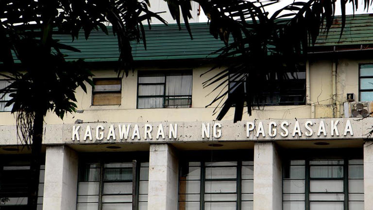 DA ramps up ube production in Cagayan Valley