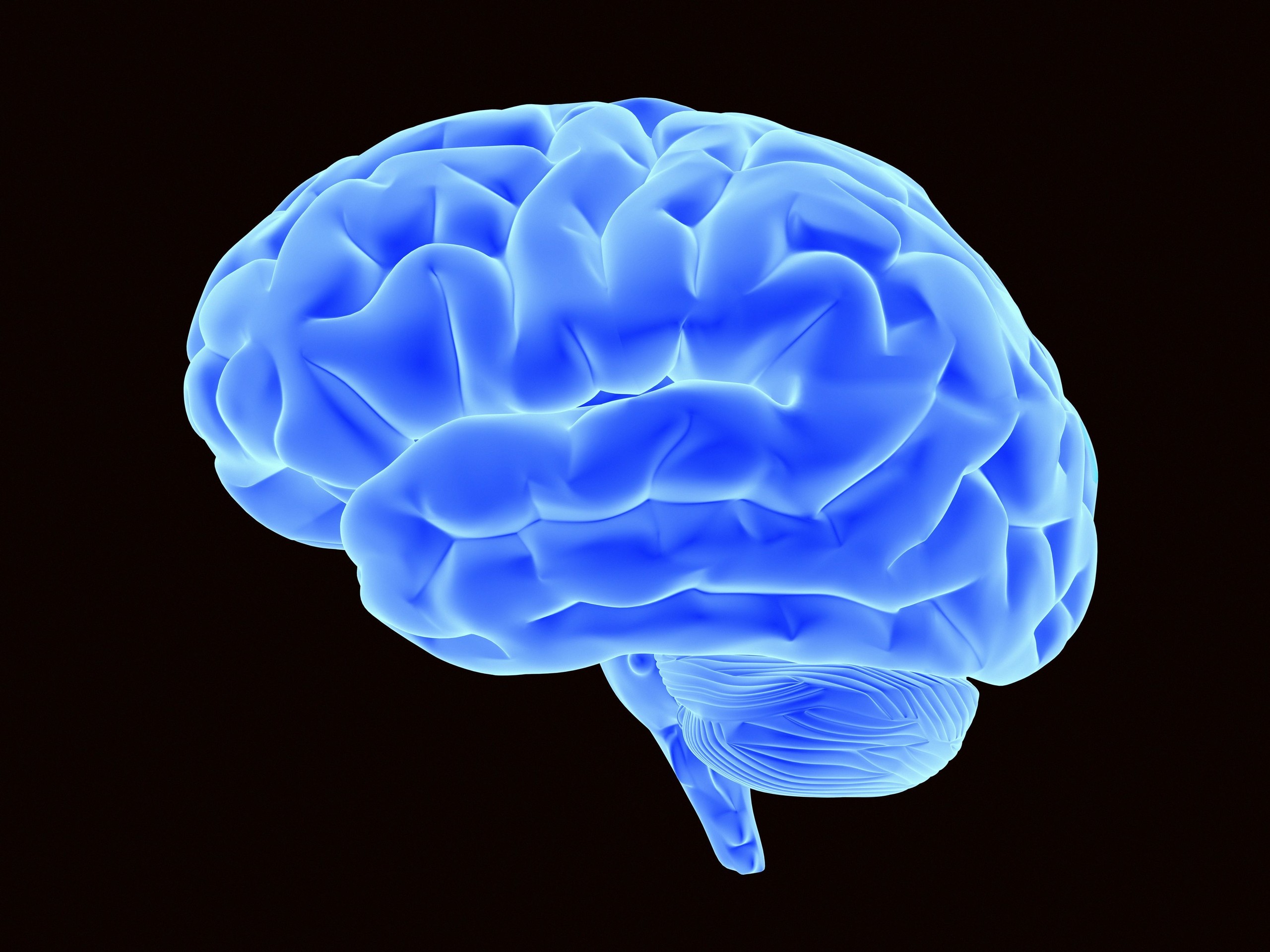 Long brain. Всемирный день мозга. Синий мозг.