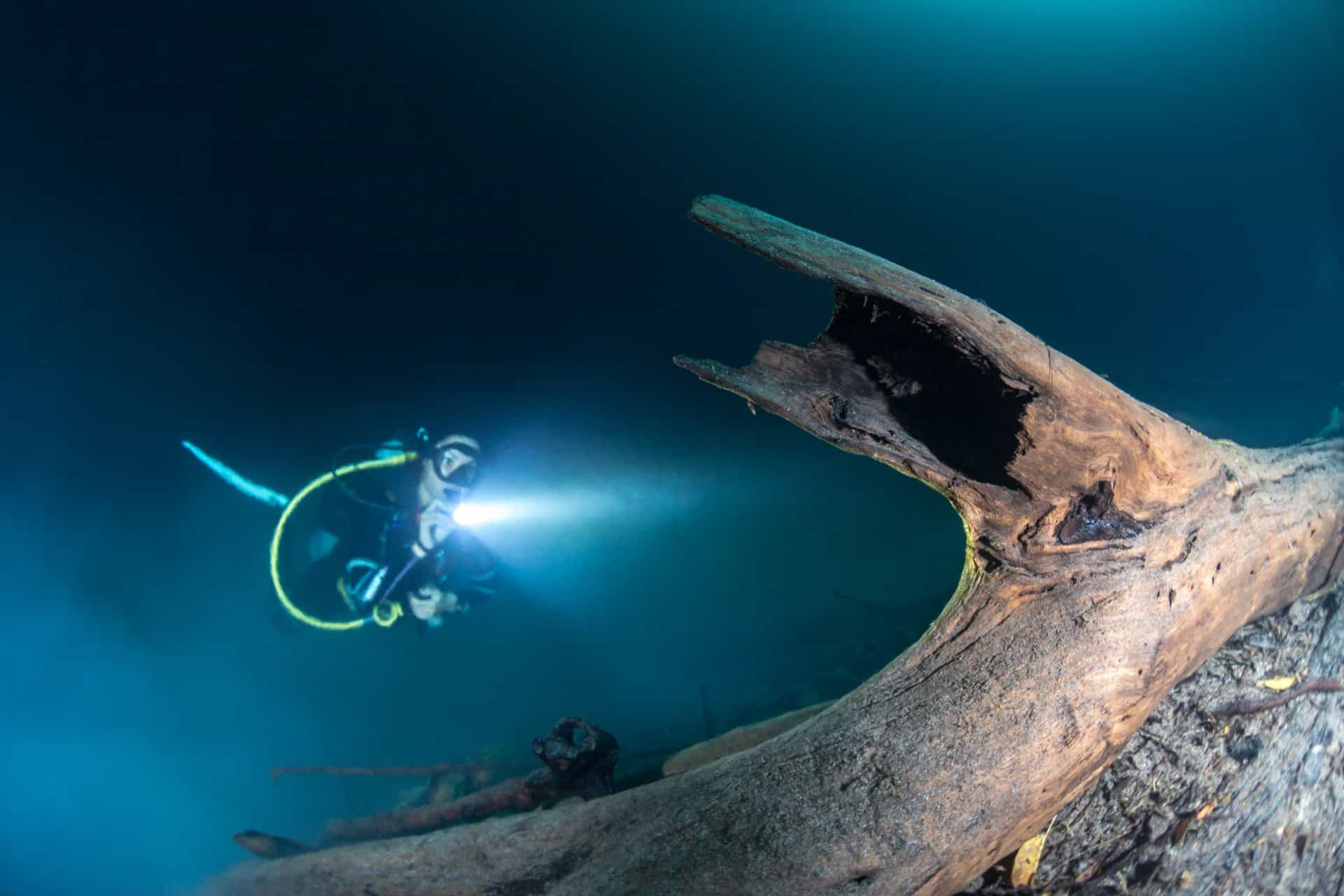 Bizarre discoveries in the most unexpected places