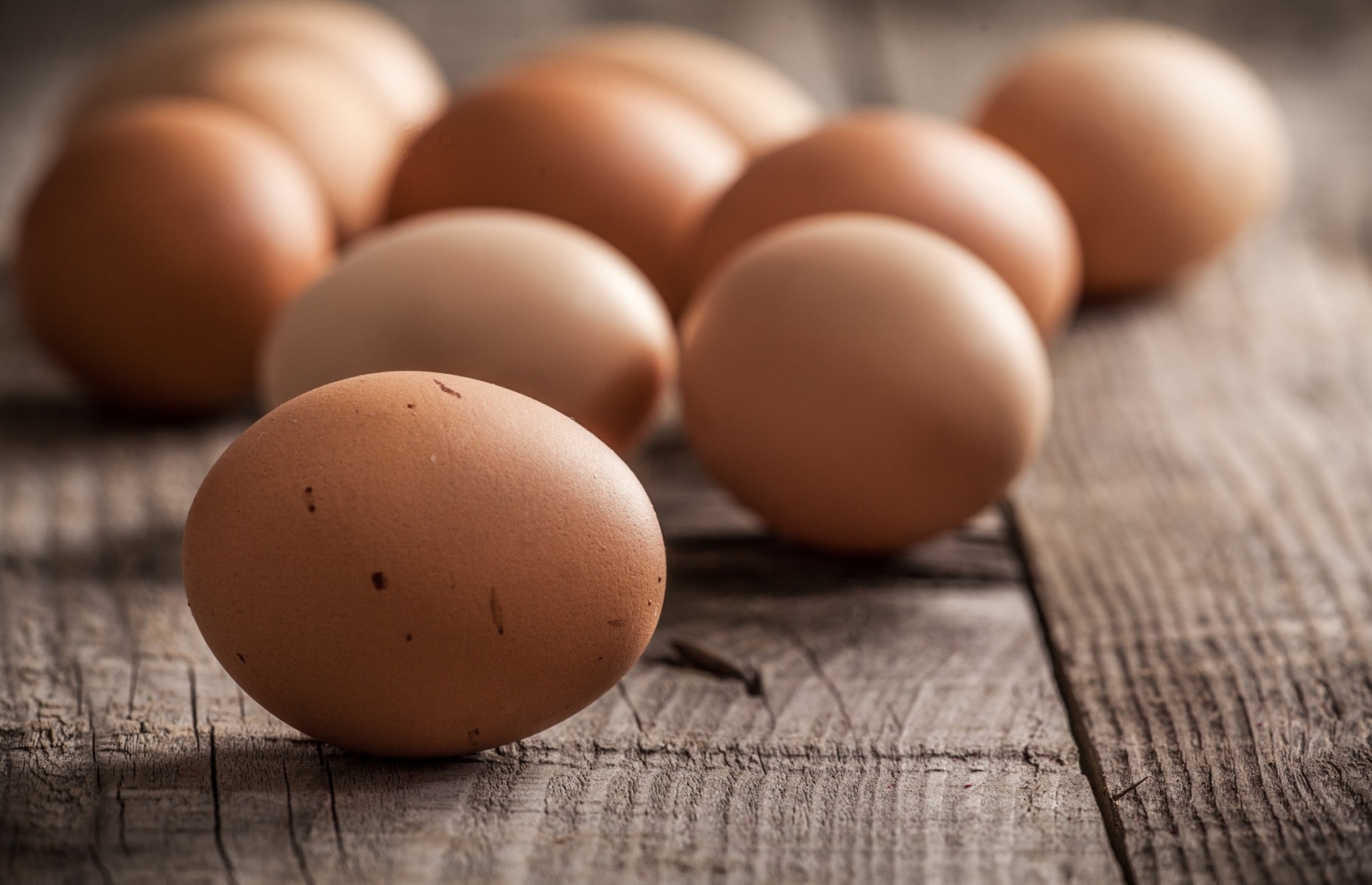 Slide 2 de 16: Os ovos frescos inteiros se conservam na geladeira até 21 dias. Depois desta data os ovos podem ser consumidos cozidos, enquanto que para seu uso cru (por exemplo, maioneses, mousses, tiramisu...) é preferível utilizá-los bem frescos. Para saber se um ovo se encontra em bom estado para o consumo, existe uma prova infalível que consiste em colocar o ovo em um recipiente cheio de água: se ele fica no fundo está fresco, mas se ele flutua não está bom para ser consumido. Os ovos cozidos se conservam na geladeira por uma semana.