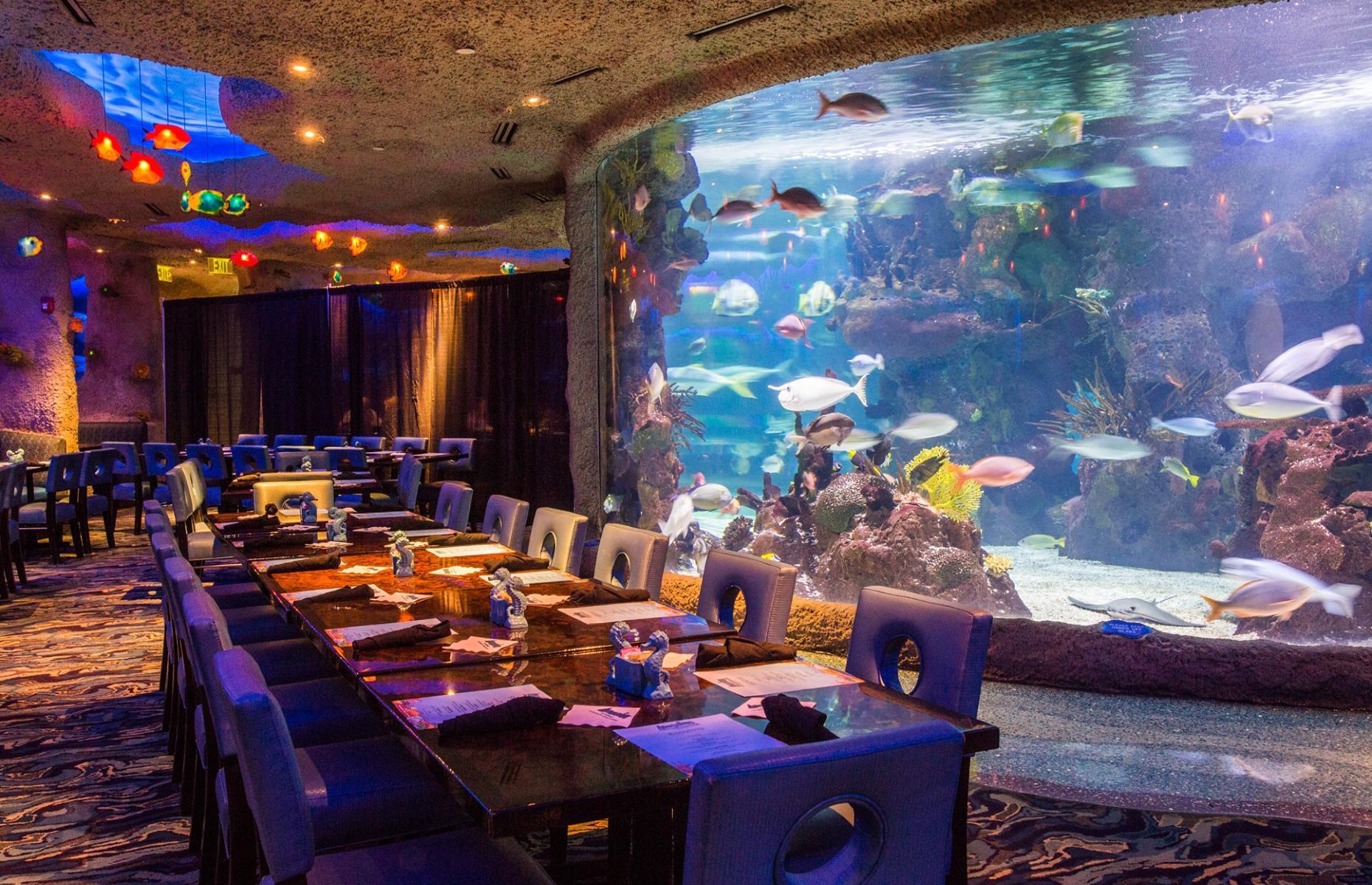 17 of the world's most breathtaking underwater restaurants