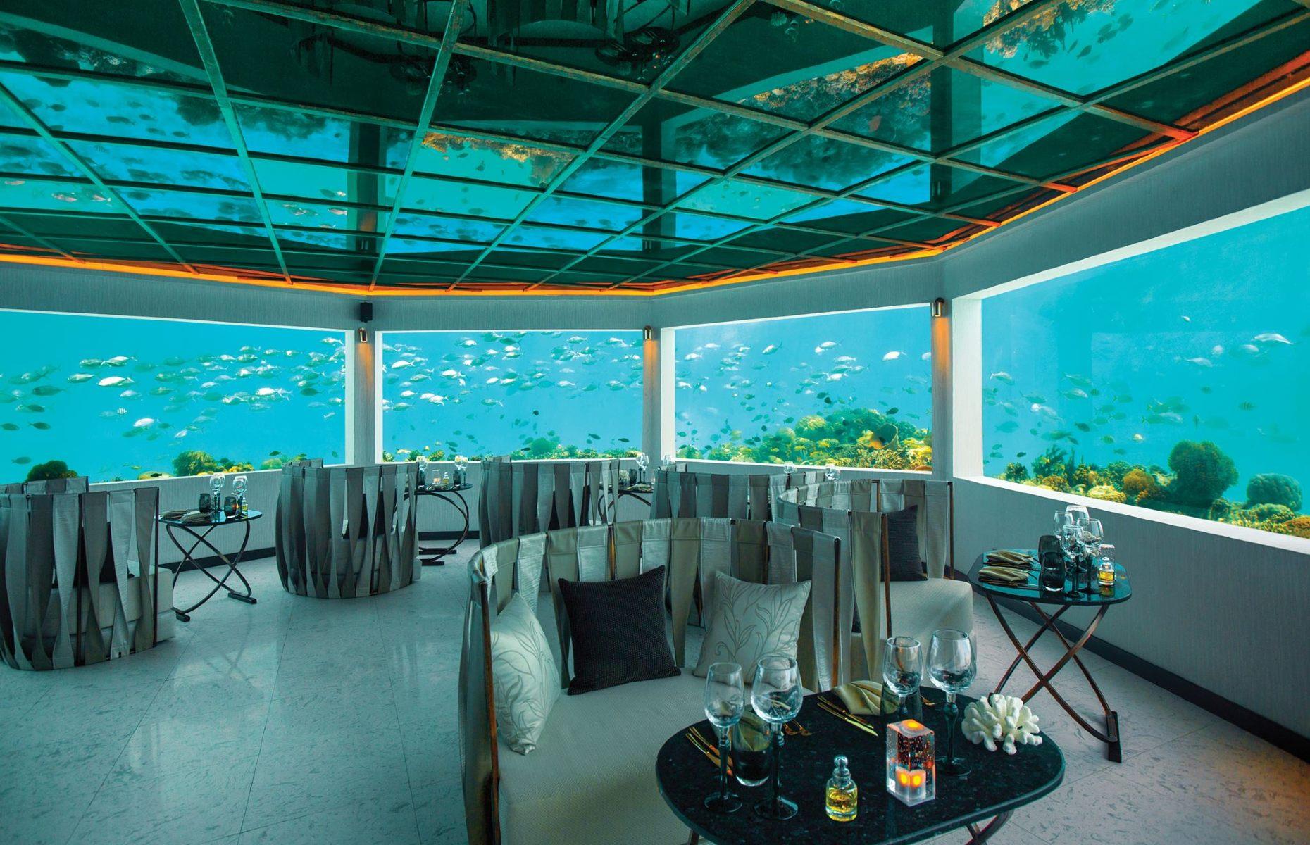 Ресторан 5 8 Undersea Restaurant