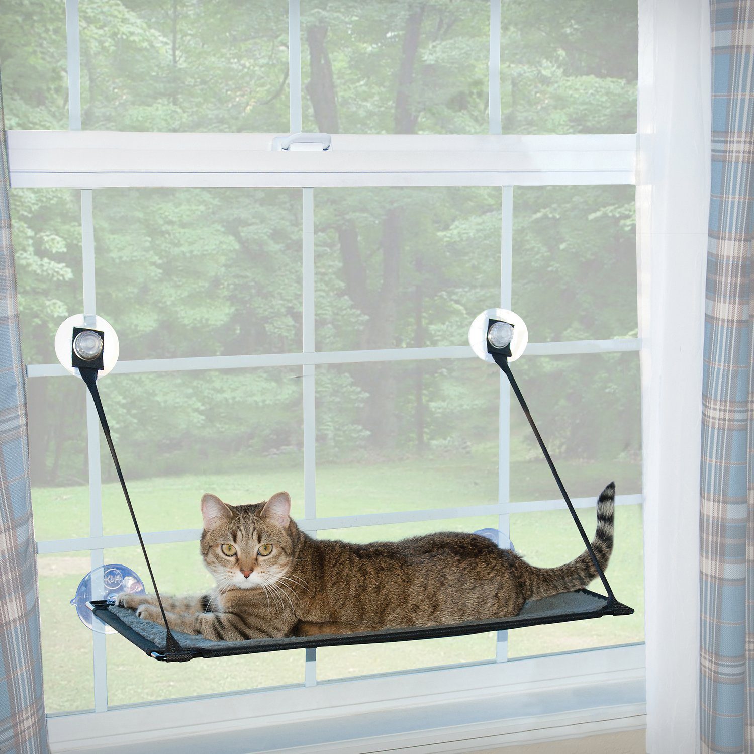 The 7 Best Cat Window Perches, Seats and Beds