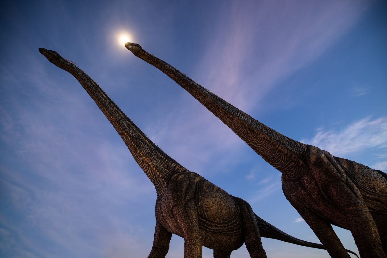 <p>How cool would it be to travel the same paths as dinosaurs?</p><p>In Black Hills, South Dakota, you can visit the <a href="http://www.blackhillsbadlands.com/business/dinosaur-park">Dinosaur Park</a> where dinos from the Late Jurassic and Early Cretaceous periods once roamed. Life-sized concrete replicas will give you a scope of just how huge these prehistoric reptiles were. Then, visit some live creatures at the Reptile Gardens, which Guinness World Records has dubbed the “world’s largest reptile zoo.”</p>