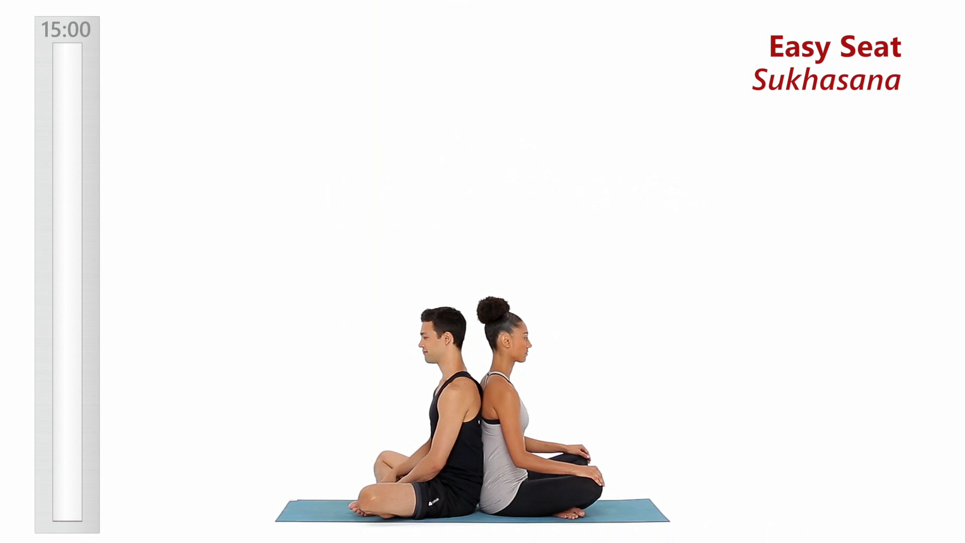 パートナー ヨガ 可動性 バランス 柔軟性 呼吸 Msn ヘルス