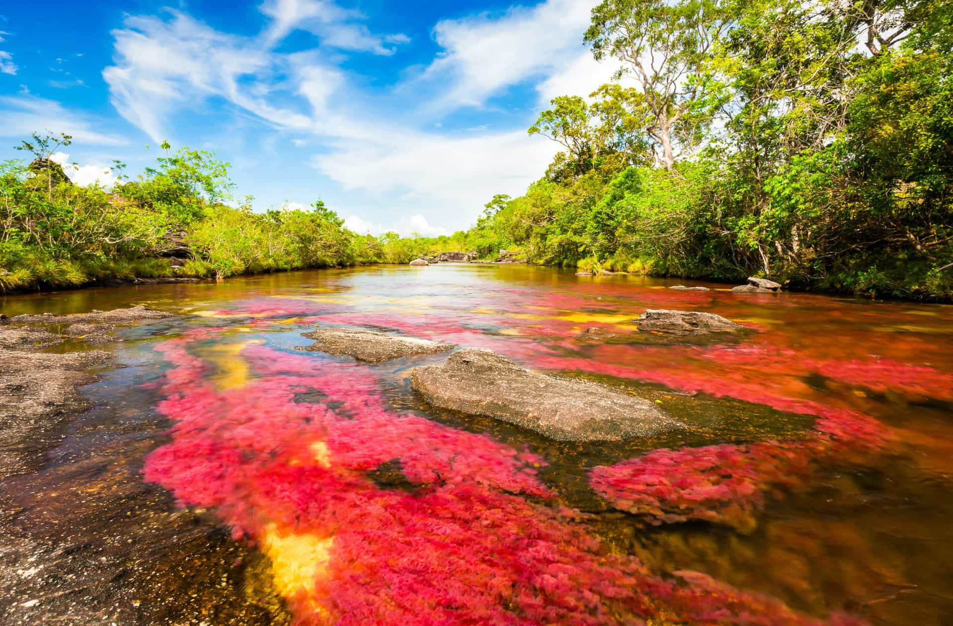 The world's strangest natural wonders