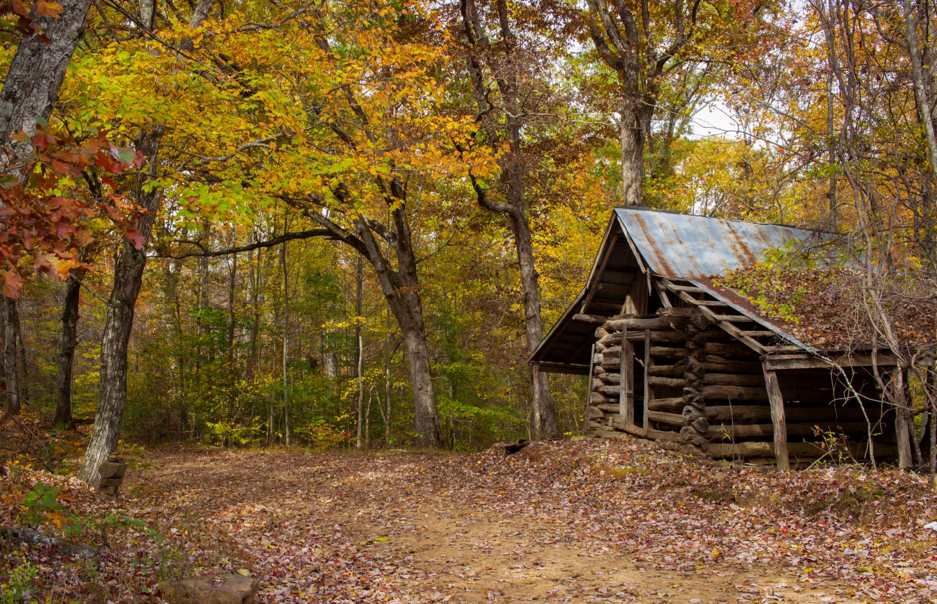 <p>Much like other parts of the rural United States, the Ozarks <a href="https://encyclopediaofarkansas.net/entries/ozark-english-5448/">have a history</a> of people speaking in a distinct dialect. It’s similar to the English spoken in the Appalachians and flourished in the late 1800s because of the relative isolation of the area. The original Ozark dialect is said to be heavily influenced by Elizabethan English, but the speech patterns have long been diluted as people from the area have mixed with visitors and traveled themselves.</p>