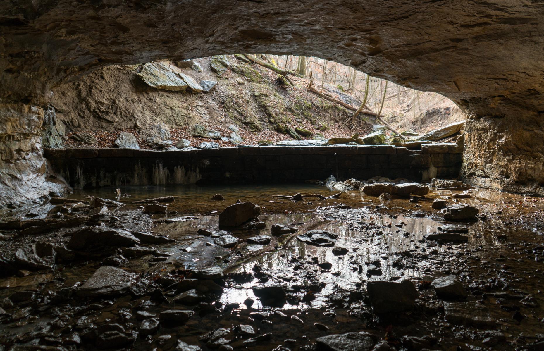 <p>The Ozark region is home to <a href="https://www.fws.gov/arkansas-es/proj_karst.html">a complex karst ecosystem</a> consisting of sinkholes, caves and underground springs that are an important home to at least 60 different varieties of organisms including bats, fish, spiders and salamanders, many of which are protected species. The karst system is also responsible for many of the area’s pristine streams and ground water supply.</p>  <p><strong><a href="https://www.loveexploring.com/galleries/68414/americas-underground-attractions-you-didnt-know-existed">Check out more of America's underground attractions</a></strong></p>