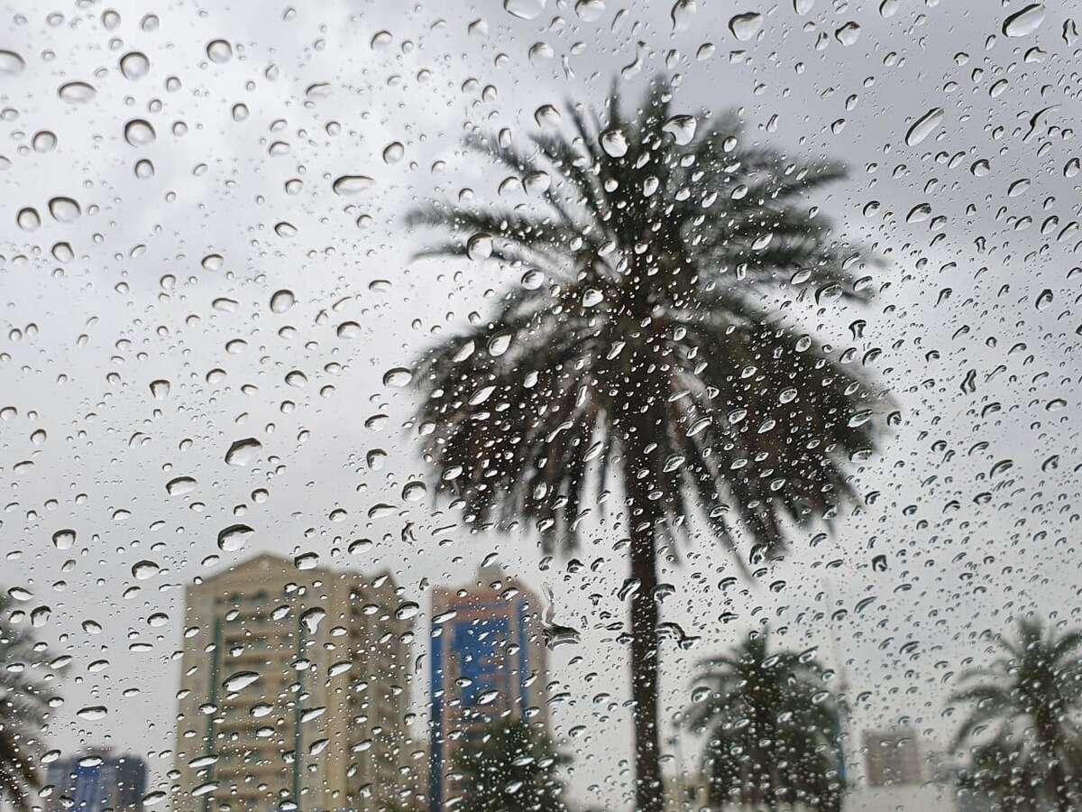 dubai: authorities share emergency numbers to contact during unstable weather