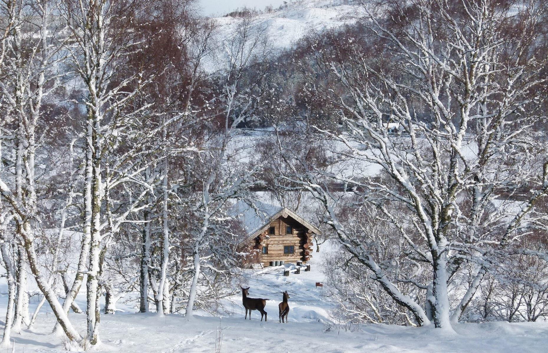 Eagle Brae Log Cabins, Scottish Highlands, UK