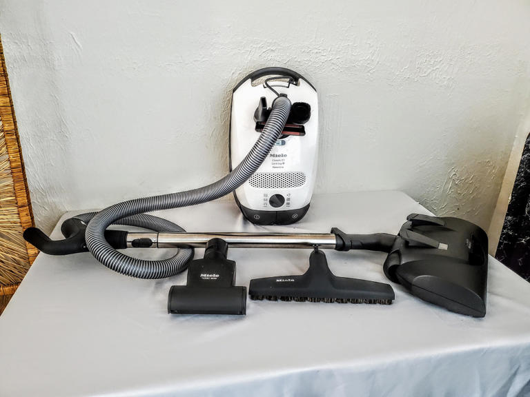 Picture of The 6 best vacuums for pet hair in 2026, tested and reviewed