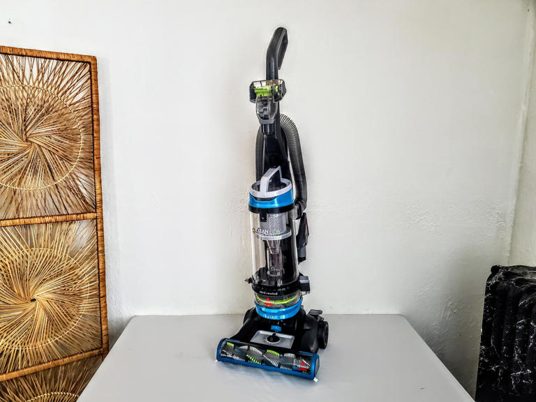 The 6 best vacuums for pet hair in 2024, tested and reviewed