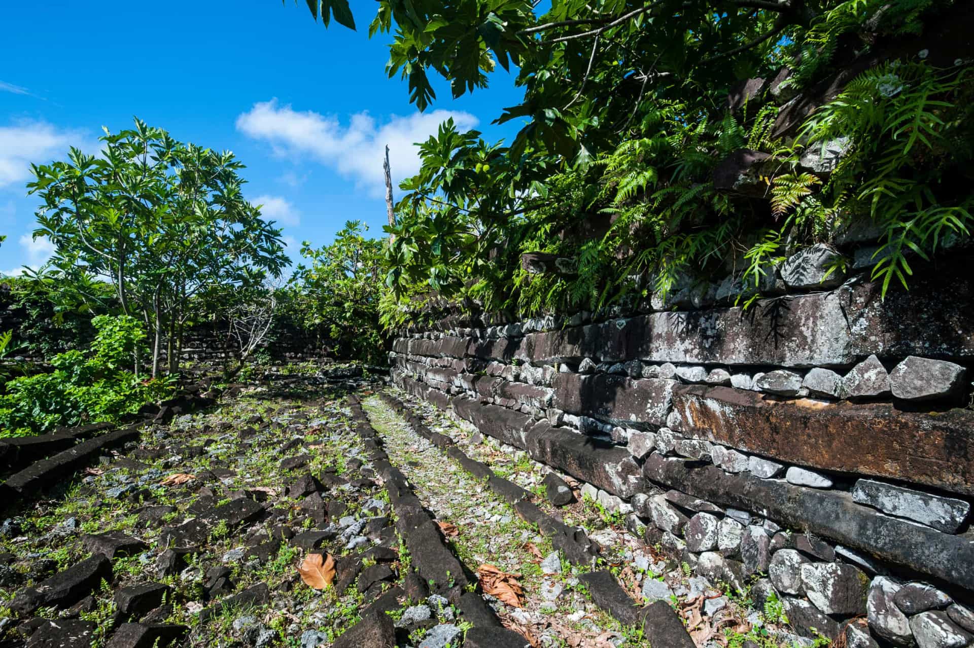 Slide 8 de 31: No entanto, as evidências da primeira atividade humana remontam ao primeiro ou segundo século a.C., de acordo com o Atlas Obscura.