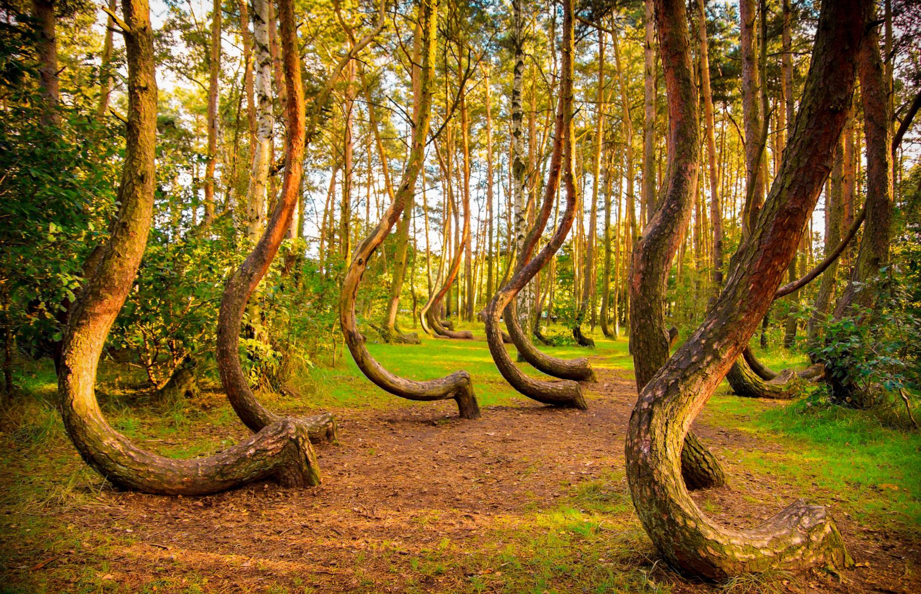 Stranger Things: The 55 weirdest places in the world