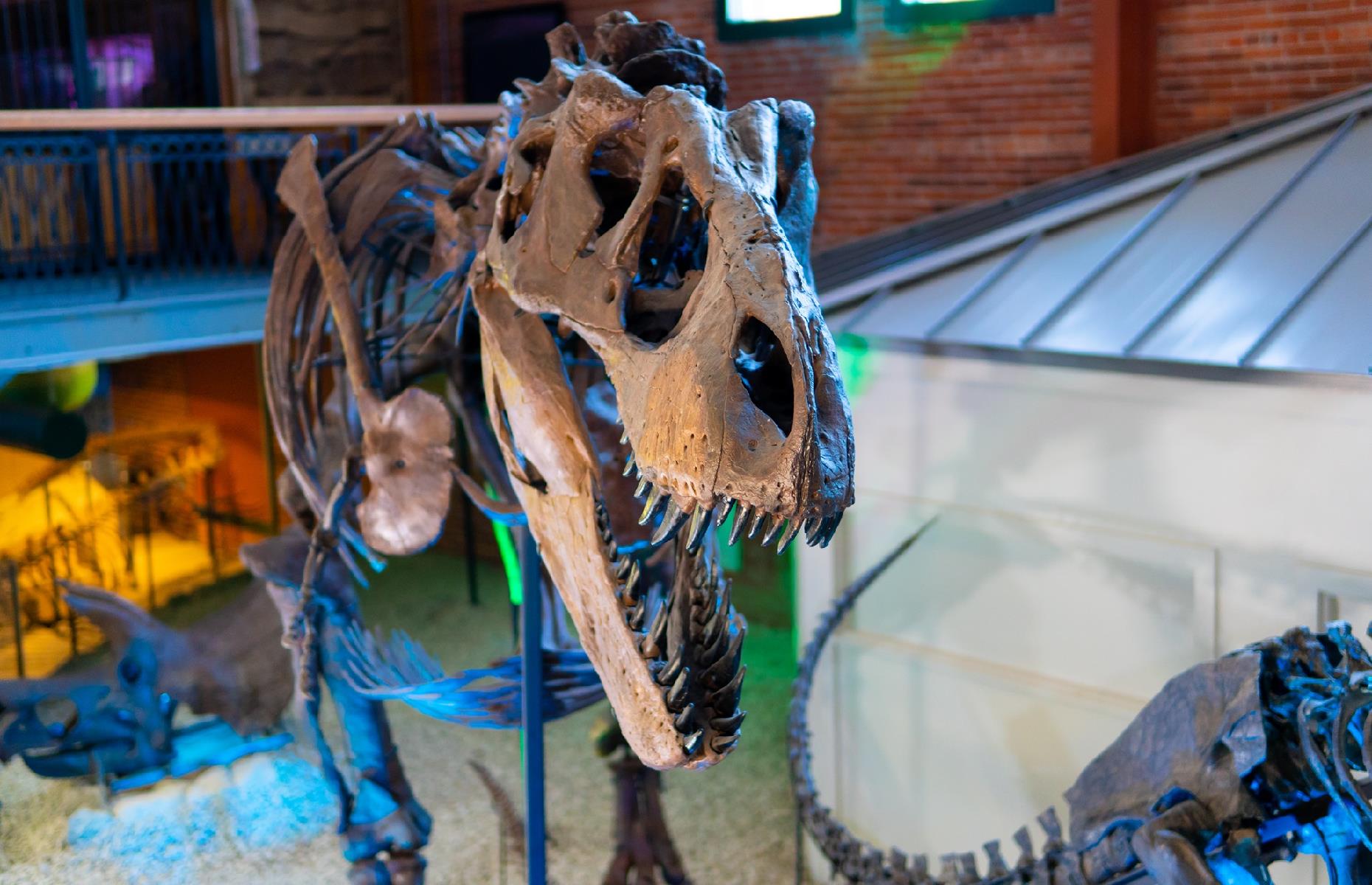 <p>Dinosaurs, Egyptian mummies, a shrunken head… this Wichita museum is filled with treasures that will delight curious kids and adults alike. The <a href="https://worldtreasures.org/">Museum of World Treasures</a> focuses on global history, from the US Civil War to ancient Greece and Rome. Kids will also love taking part in scavenger hunts and escape-room style challenges.</p>