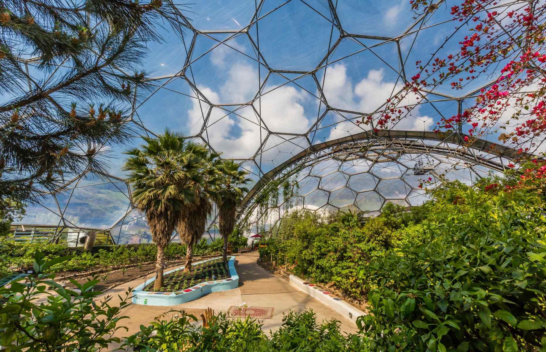 <p>Built in an old clay pit, the Eden Project’s distinct geodesic domes are a world-renowned visitor attraction in <a href="https://www.loveexploring.com/news/87277/the-best-places-to-visit-in-south-cornwall-fowey-talland-bay">south Cornwall</a>. Designed by Nicholas Grimshaw, the huge tropical garden complex first opened to the public in 2001. Today, its incredible biomes are home to thousands of different species of plants and trees from across the globe including West Africa and South America and its impressive Rainforest Biome is the largest indoor rainforest in the world. </p>