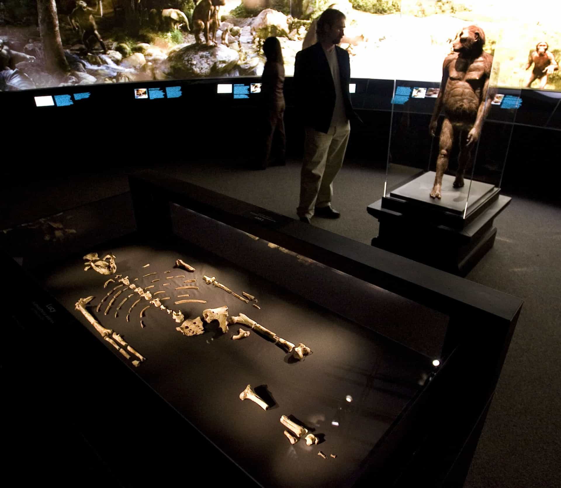 Past human species: How different were they from us?