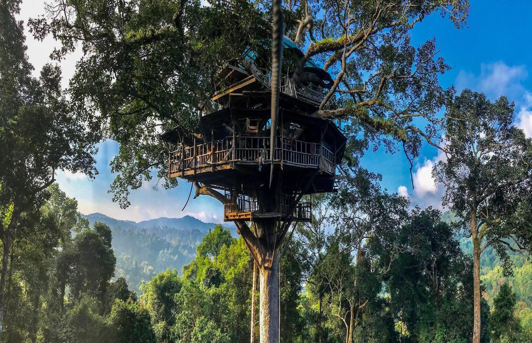 <p>Where better to get up close to the forest-dwelling creatures of Laos' Nam Kan National Park than a treehouse? With eight soaring structures reaching up to 130 feet (40m), <a href="https://www.facebook.com/gibbonexperience/">the Gibbon Experience</a>, a tourism-based conservation project, is said to have the tallest treehouses in the world. After you wake up among the trees, it’s highly likely the first face you’ll see is that of a black-crested gibbon – they live in the forests of northwestern Laos. And if that isn’t thrilling enough, the only way to reach them and bed down for the night is via a network of ziplines.</p>