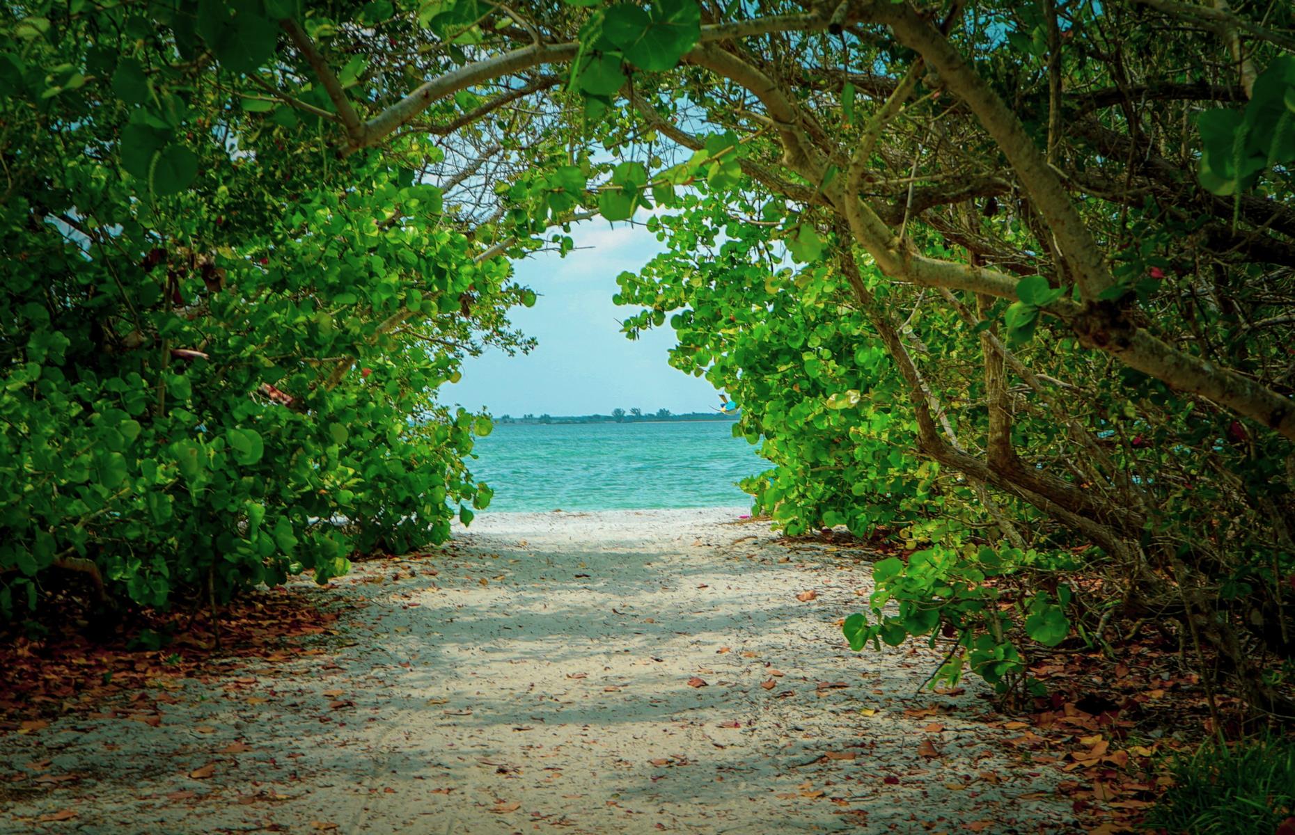 <p><a href="https://www.weather-us.com/en/florida-usa/sanibel-climate">Temperatures up to 70°F (21°C)</a> in January and 82°F (28°C) in October are enough to recommend Sanibel Island for an off-season trip. The relative lack of crowds packing out the pale sandy beaches is another. Then, of course, there’s the beauty, which remains striking all year round. Sanibel and neighboring Captiva are hugely popular in summer, when people come to soak up the sunshine while collecting pretty shells from the sand. Once they leave, prices drop – and the sun continues to shine.</p>