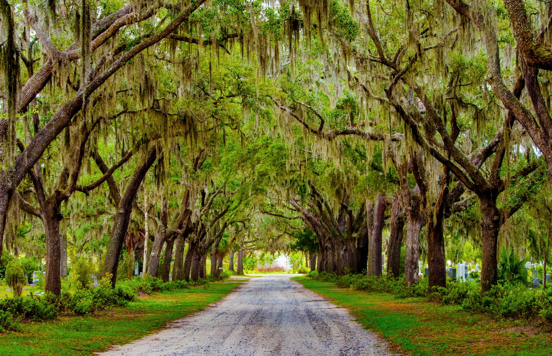 <p>Southern charmer Savannah is far easier to admire outside of the summer months. Even January temperatures <a href="https://en.climate-data.org/north-america/united-states-of-america/georgia/savannah-1664/">reach 59°F (15°C)</a>, while the mercury often hits 77°F (25°C) in April. So visitors are unlikely to catch a chill, except perhaps while strolling around atmospheric cemeteries whose sculptures and grand mausoleums are shadowed by moss-draped oak trees.</p>