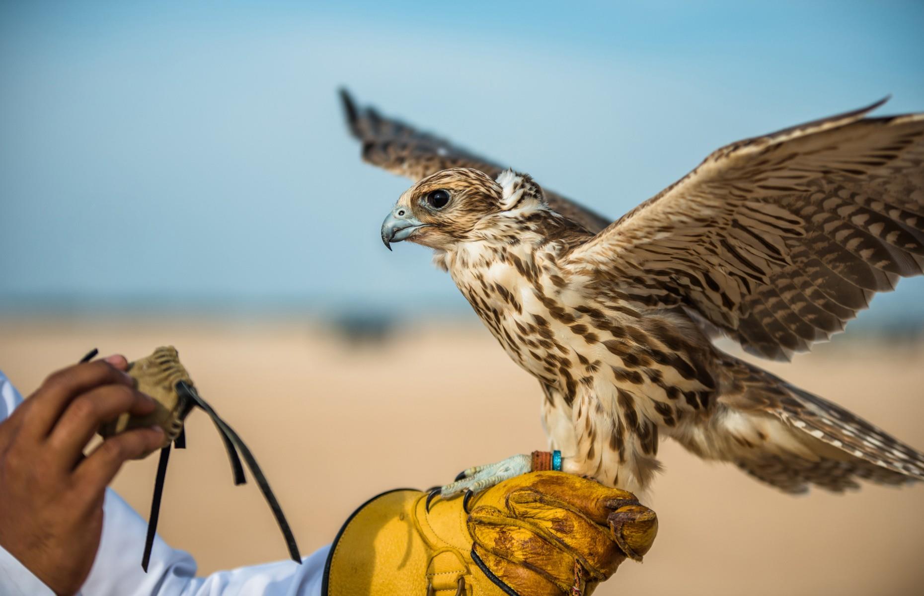 AASB0Du.img?w=800&h=415&q=60&m=2&f=jpg