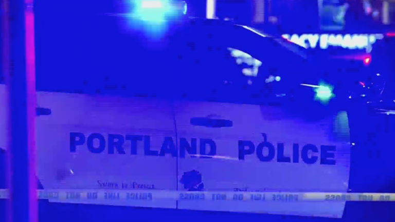 One dead after early morning North Portland shooting